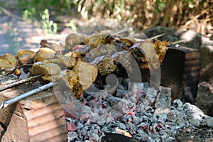 a man roasts meat on a fire. Close-up of hands and shish kebab. Cooking pork neck on the grill. Roasted carrots. Fatty food