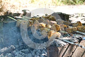 a man roasts meat on a fire. Close-up of hands and shish kebab. Cooking pork neck on the grill. Roasted carrots. Fatty food