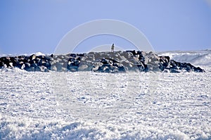 Man on Rock Jetty During Storm