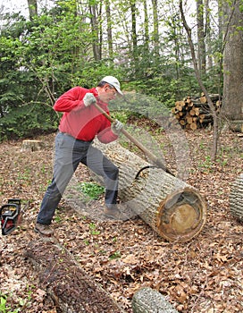 Man rolling log with peavey