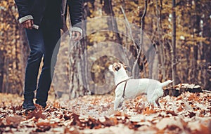 Man romping around with his dog in colorful landscape in fall or autumn photo