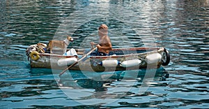 Man rowing a boat with a dog in it