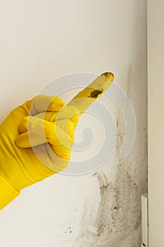 A man in a rubber glove points to the mold. Plastic window and window sill in mold and dirt. Fungus and dampness