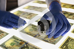 Man in rubber gloves verifying authenticity of american dollar bills closeup