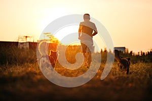 A man running and dog happy run after him on the meadow during sunset. Pet and family concept
