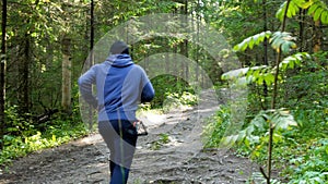 Man running in forest. Athletic man running in forest trail. Man running on trail in spring forest green trees