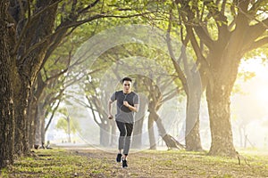 Man running in the forest on  foggy at  spring morning