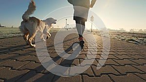 Man running with golden retriever dog with sunlight