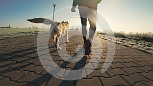 Man running with golden retriever dog with sunlight