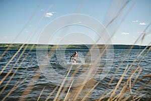 Man running in lake water towards the shore. Shot thrugh dry grass spikes photo