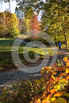 A Man Running in A Park in Autumn