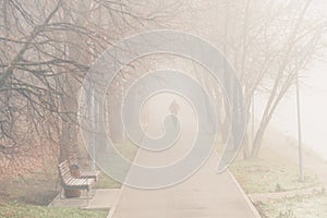 A man running in the park during the fog