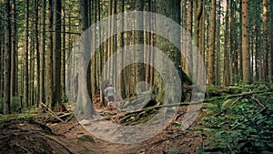 Man Running On Trail Through Tall Trees