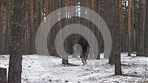 A man is running through the woods from the camera into the distance.