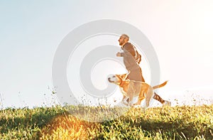 Man runs with his beagle dog. Morning Canicross exercise photo