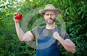man rural worker in straw hat with sweet pepper