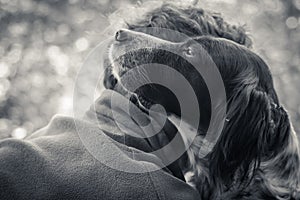 Man`s affection for his english setter dog in black and white