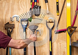 Man& x27;s arm taking lawn and leaf rake off wooden wall with various hanging DIY garden tools in shed.