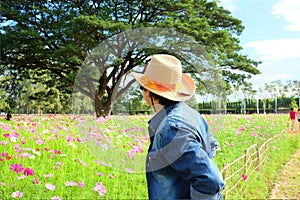Man`s back wearing straw hat while looking at flower garden.