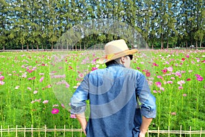 Man`s back wearing straw hat while looking at flower garden.