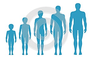 Man`s body proportions changing with age. Boy`s body growth stages. Vector illustration. Aging concept. Different man`s age