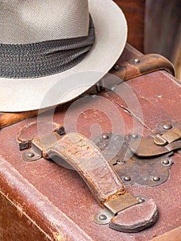 Man's Fedora Hat and Leather Suitcase II