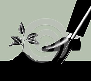 A man`s foot with a shovel digs the ground and plants a plant