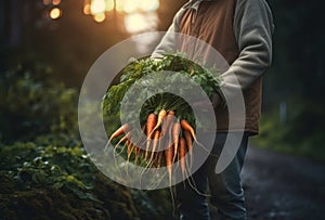 A Man\'s Garden: Carrots, Spectral Colors, and the Interconnected