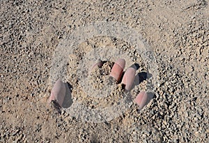 A man`s hand buried in an accident that brings earthquakes or mining accidents. in fine gravel which is used for park construction