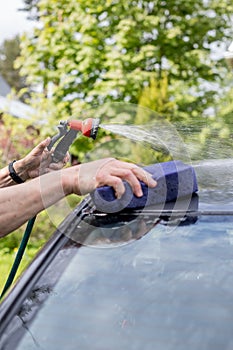 Man`s hand cleaning black car by sponge and hose. outdoor car wash with purple sponge.Manual car wash with pressurized