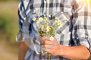 Man`s hand holding a bouquet of daisies, the concept of relationship and love