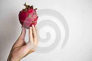 Man`s hand holding exotic dragon fruit. photo
