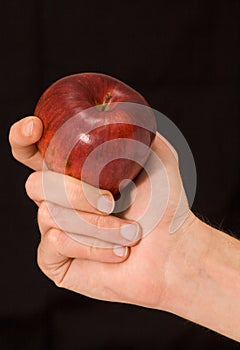 Man's hand holding one red apple