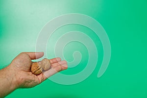 man's hand holding wallnut in shell on green isolated background