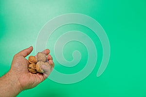 man's hand holding wallnut in shell on green isolated background