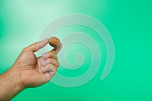 man's hand holding wallnut in shell on green isolated background