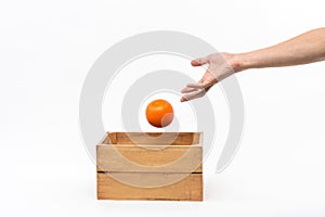 A man`s hand holding a wooden box containing melons and oranges.