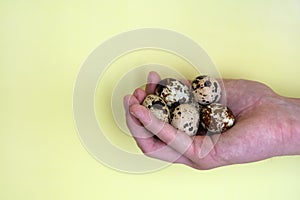 man's hand holds handful of fresh quail eggs on yellow background. The concept of healthy eating and home cooking.