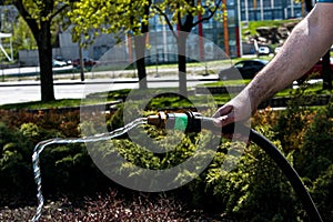 A man`s hand holds an irrigation hose