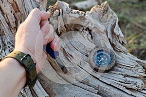 Man`s hand holds a knife for survival stuck in an old, dried tree, next to a compass.