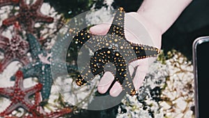 Man's Hand Holds a Yellow Starfish over Transparent Ocean Water by Coral Reef