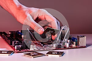 A man`s hand inserts a processor into the motherboard chipset