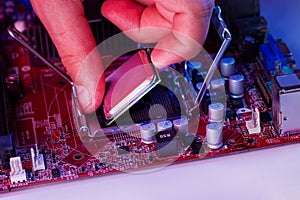 A man`s hand inserts a processor into the motherboard chipset