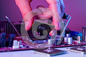 A man`s hand inserts a processor into the motherboard chipset