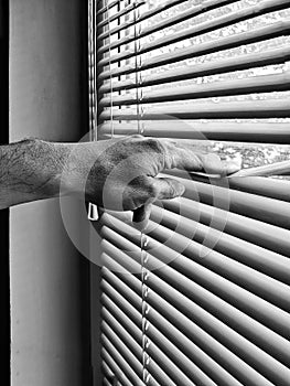 man's hand pushes back the window blinds on the window