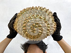 A man's hand raises a large durian fruit on a white background