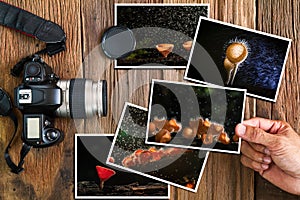 Man`s hand selecting mushroom photos stack and old grunge camera on vintage grunge wooden background