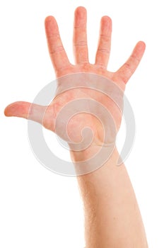 Man`s hand showing the five fingers
