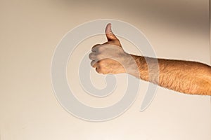 A man's hand shows a gesture of approval, on a light background.