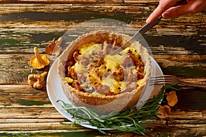 Man`s hand sliced homemade chanterelle mushrooms and cheese pie quiche - traditional swedish pie